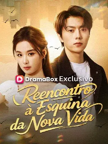 Capa de Reencontro à Esquina da Nova Vida