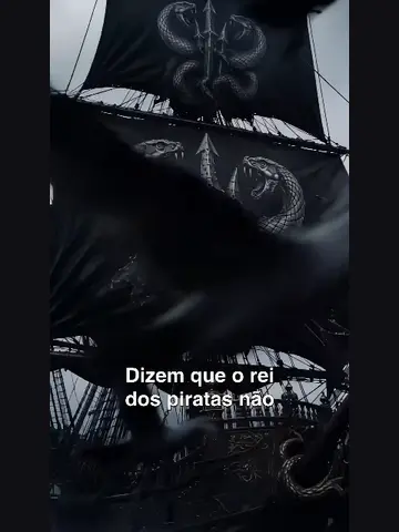 Capa de Roubada Pelo Rei dos Piratas (Dublado)